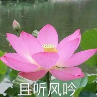 使命降临全域封锁手游下载