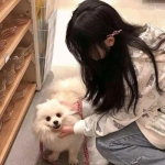 我的世界联机平台手机版下载